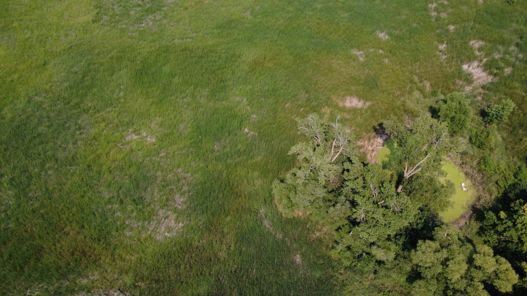24+ acre seasonal recreational parcel featuring natural lowland habitat, hunting potential, and excellent opportunities for outdoor enjoyment