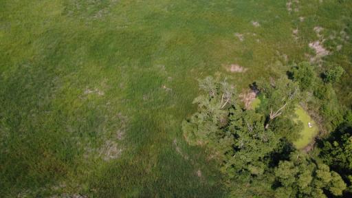 24+ acre seasonal recreational parcel featuring natural lowland habitat, hunting potential, and excellent opportunities for outdoor enjoyment