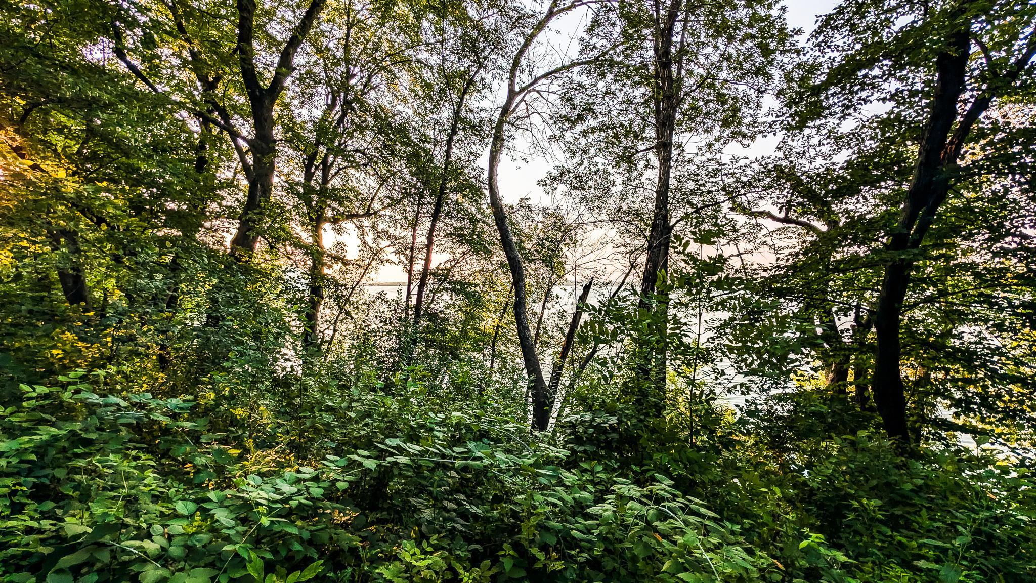 Oakwood Lots-21.jpg