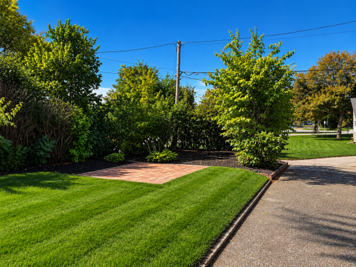 130 10th Avenue N, Hopkins, MN 55343