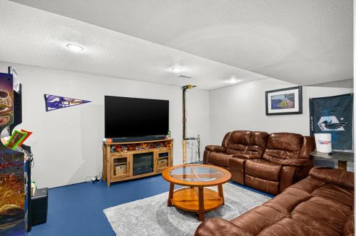 LL family room for entertianing or relaxing