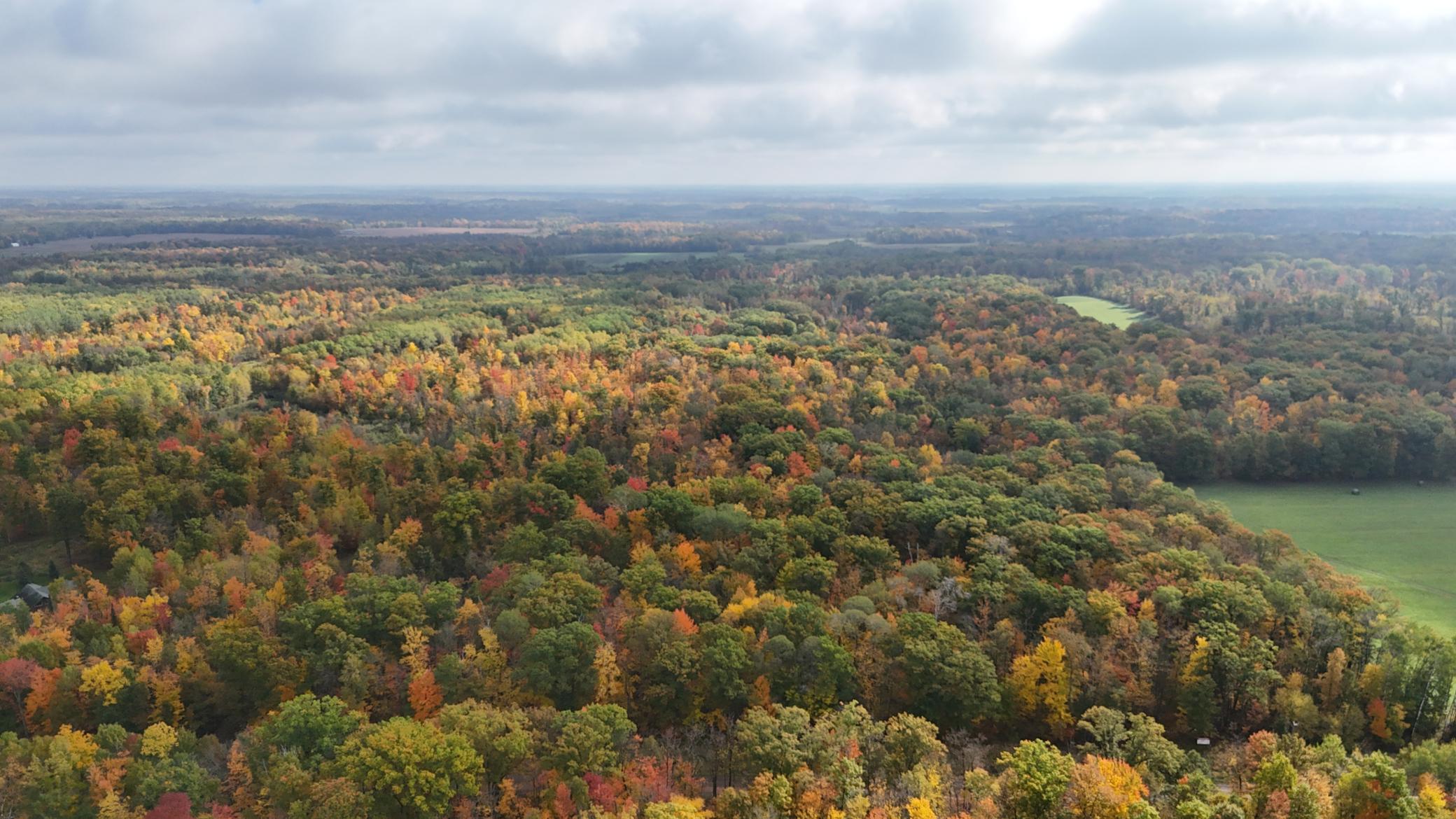 Property photo for TBD Skyview Street, Brook Park, MN 55007