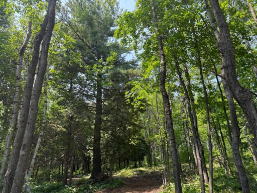 TBD N 83rd Ave. W, Duluth, MN 55807