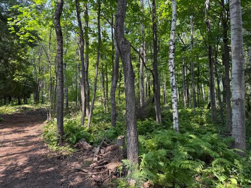 TBD N 83rd Ave. W, Duluth, MN 55807