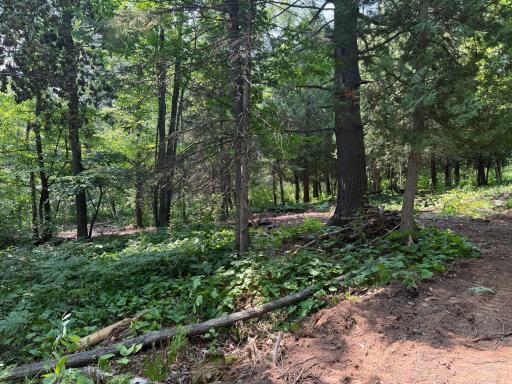 TBD N 83rd Ave. W, Duluth, MN 55807