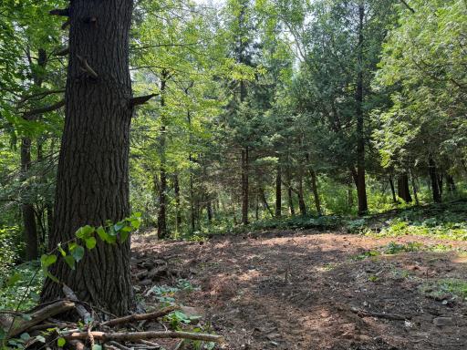 TBD N 83rd Ave. W, Duluth, MN 55807