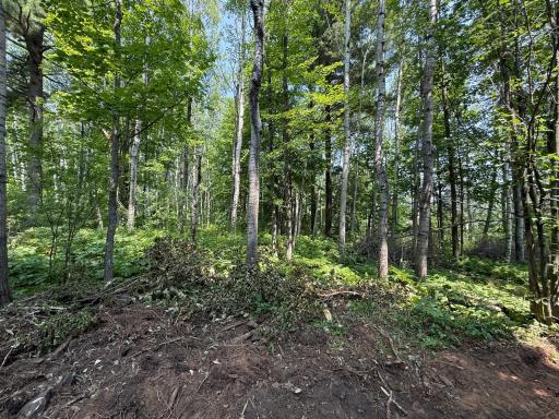 TBD N 83rd Ave. W, Duluth, MN 55807