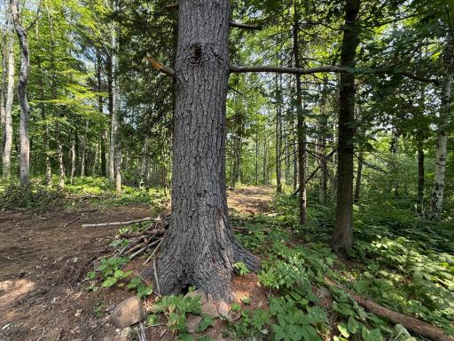 TBD N 83rd Ave. W, Duluth, MN 55807