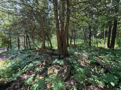 TBD N 83rd Ave. W, Duluth, MN 55807