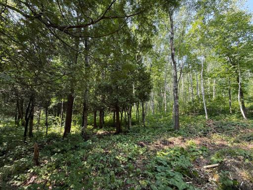 TBD N 83rd Ave. W, Duluth, MN 55807