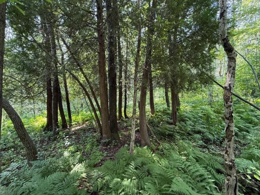 TBD N 83rd Ave. W, Duluth, MN 55807
