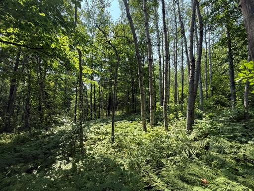 TBD N 83rd Ave. W, Duluth, MN 55807