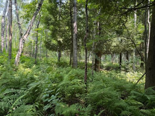 TBD N 83rd Ave. W, Duluth, MN 55807