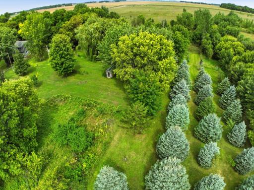 89678 130th Street, Maynard, MN 56260