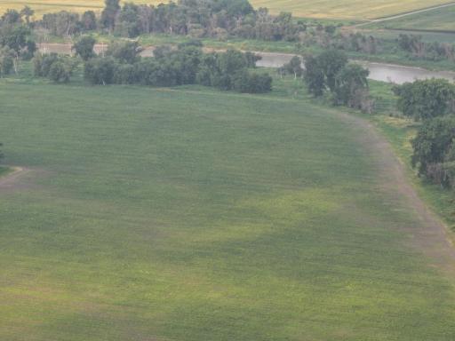 DJI_20260619132536_0301_D.JPG