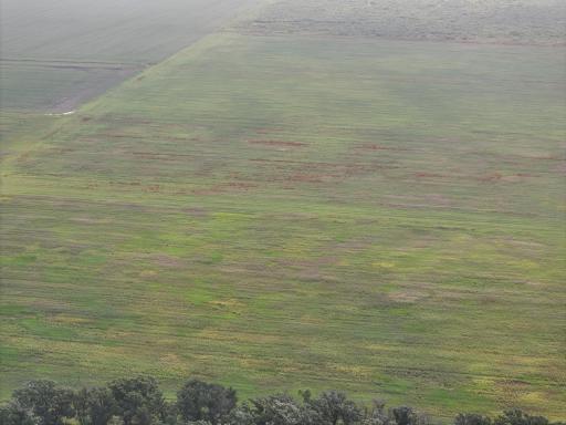 DJI_20260619132606_0303_D.JPG