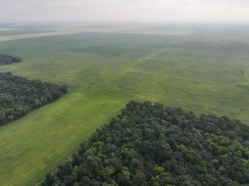 DJI_20260619132619_0304_D.JPG