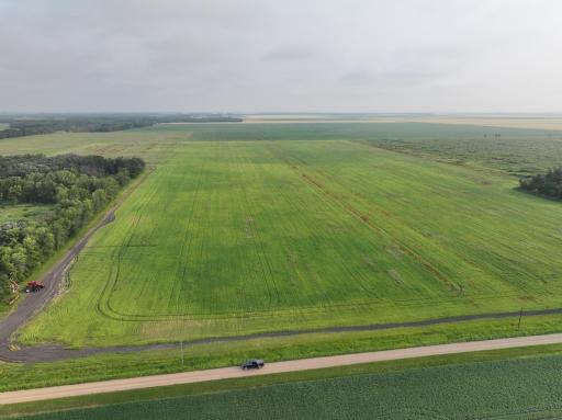 DJI_20260619132305_0291_D.JPG
