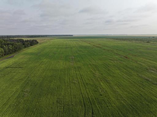 390th 390th st NW, Stephen, MN 56757