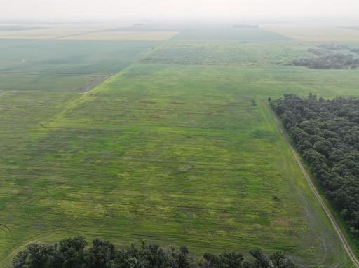 DJI_20260619132638_0306_D.JPG