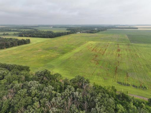 DJI_20260619132339_0292_D.JPG