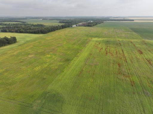 DJI_20260619132357_0294_D.JPG