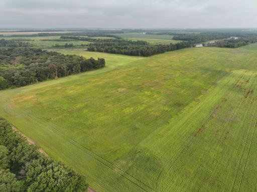 DJI_20260619132351_0293_D.JPG