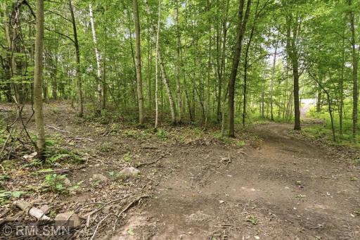 Trail