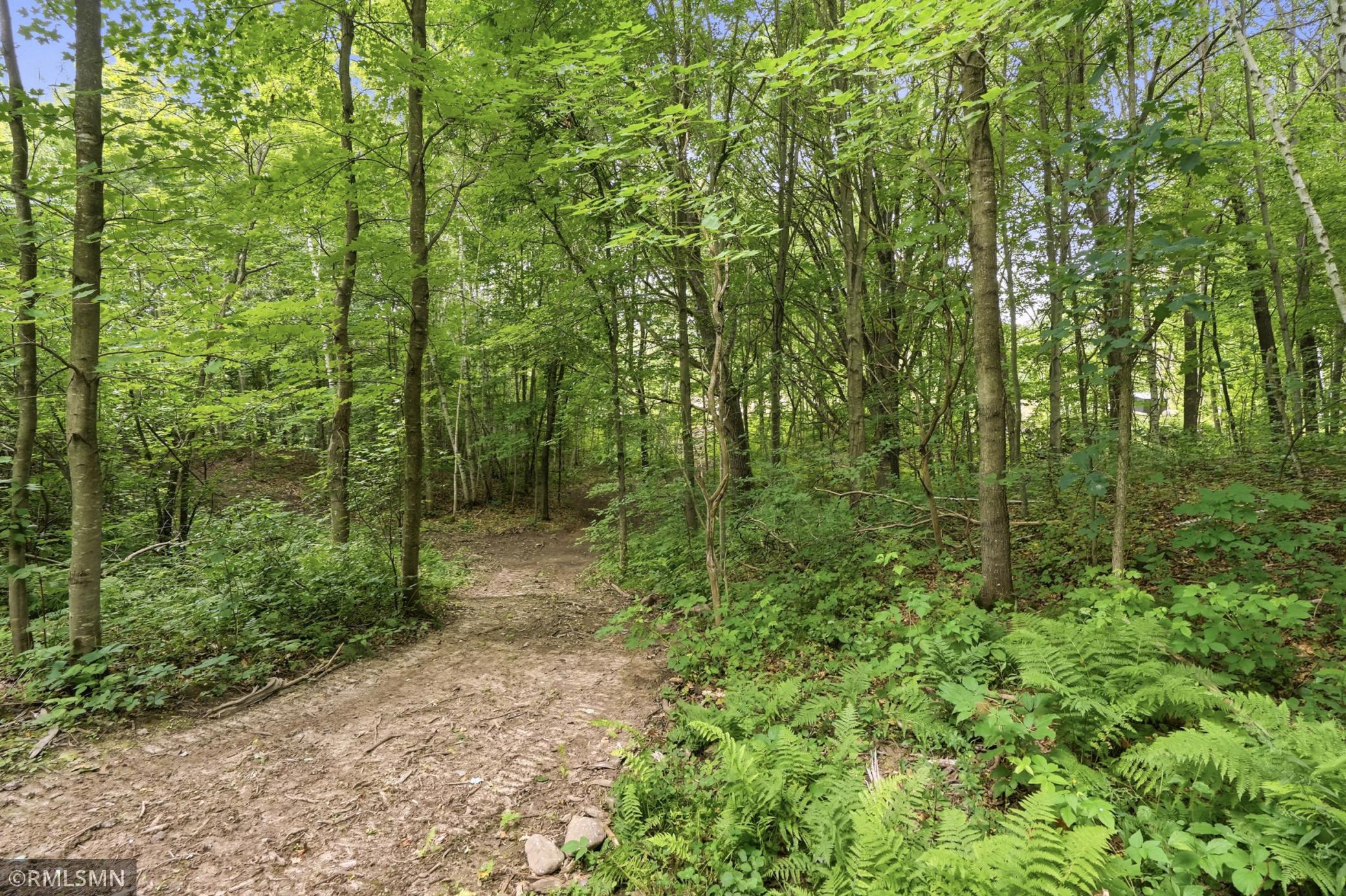 Trail