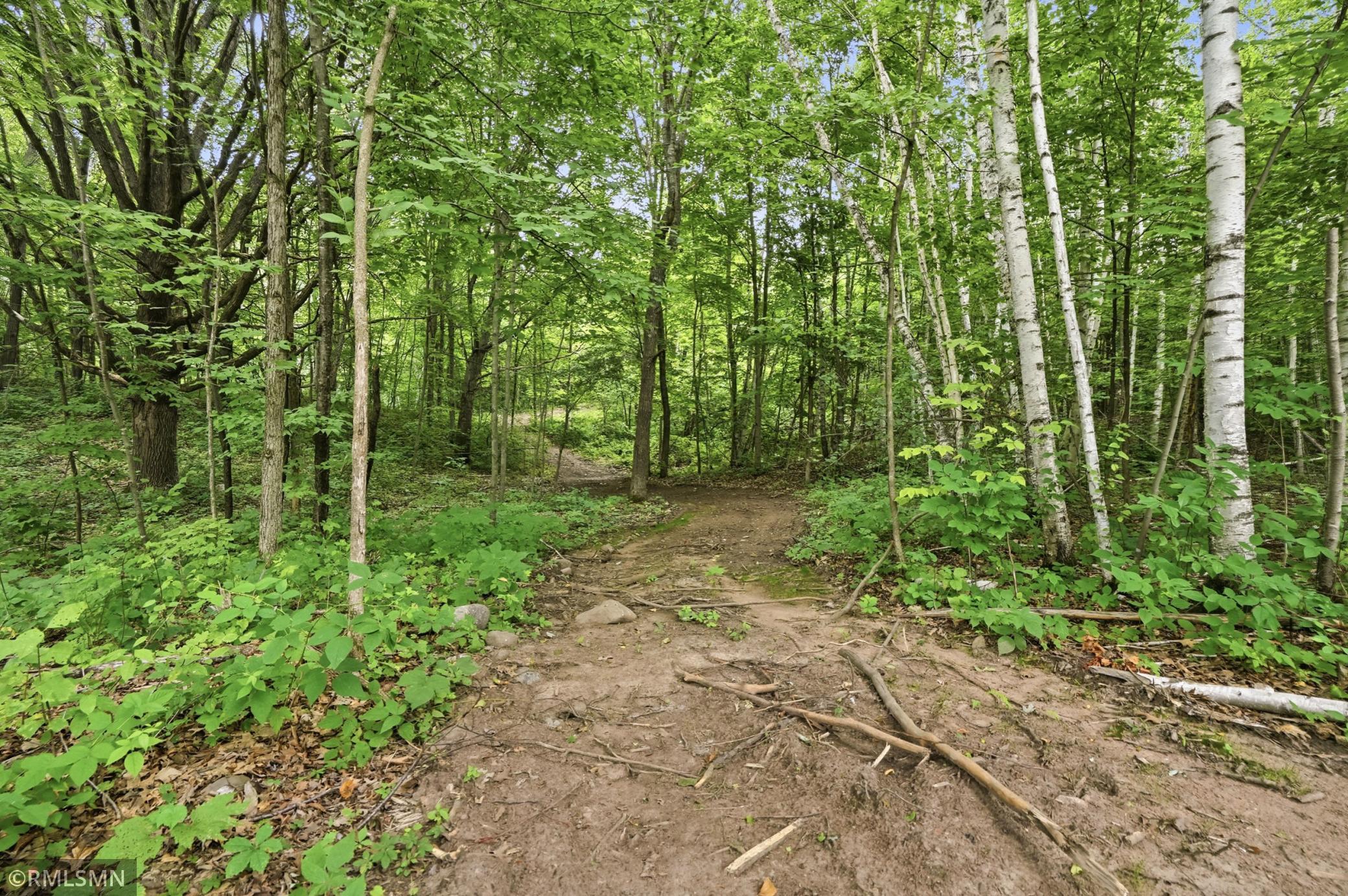 Trail