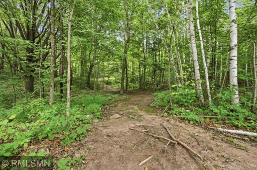 Trail