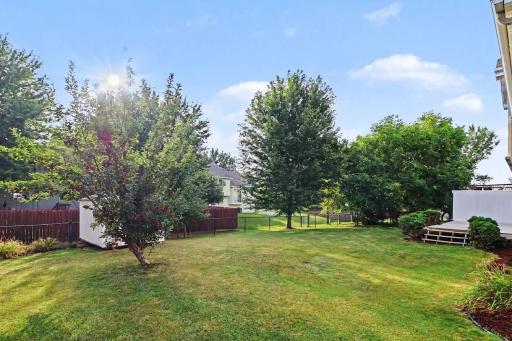 Backyard3.jpg