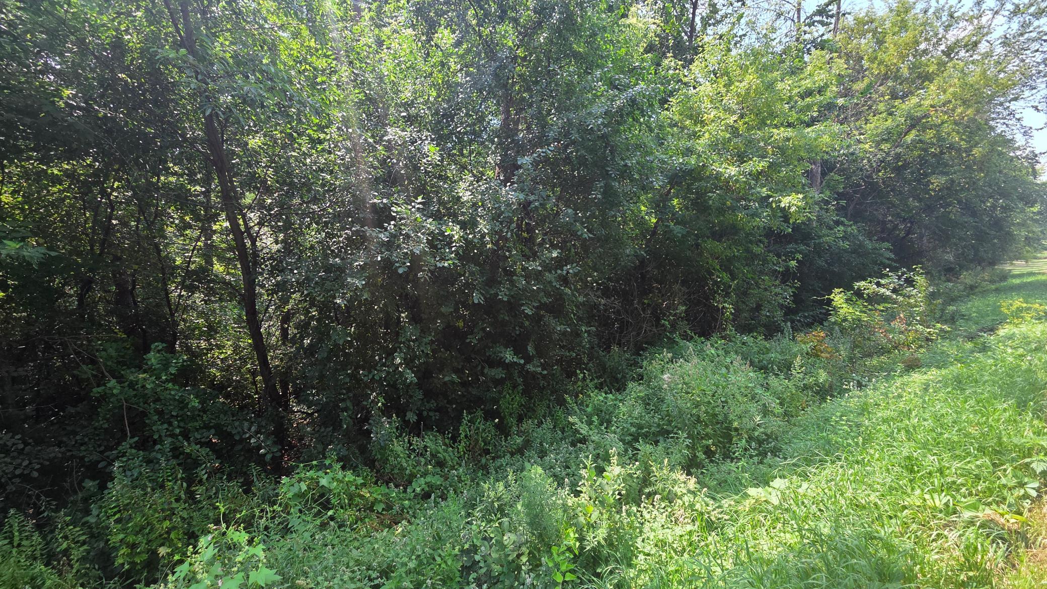 Photo 31