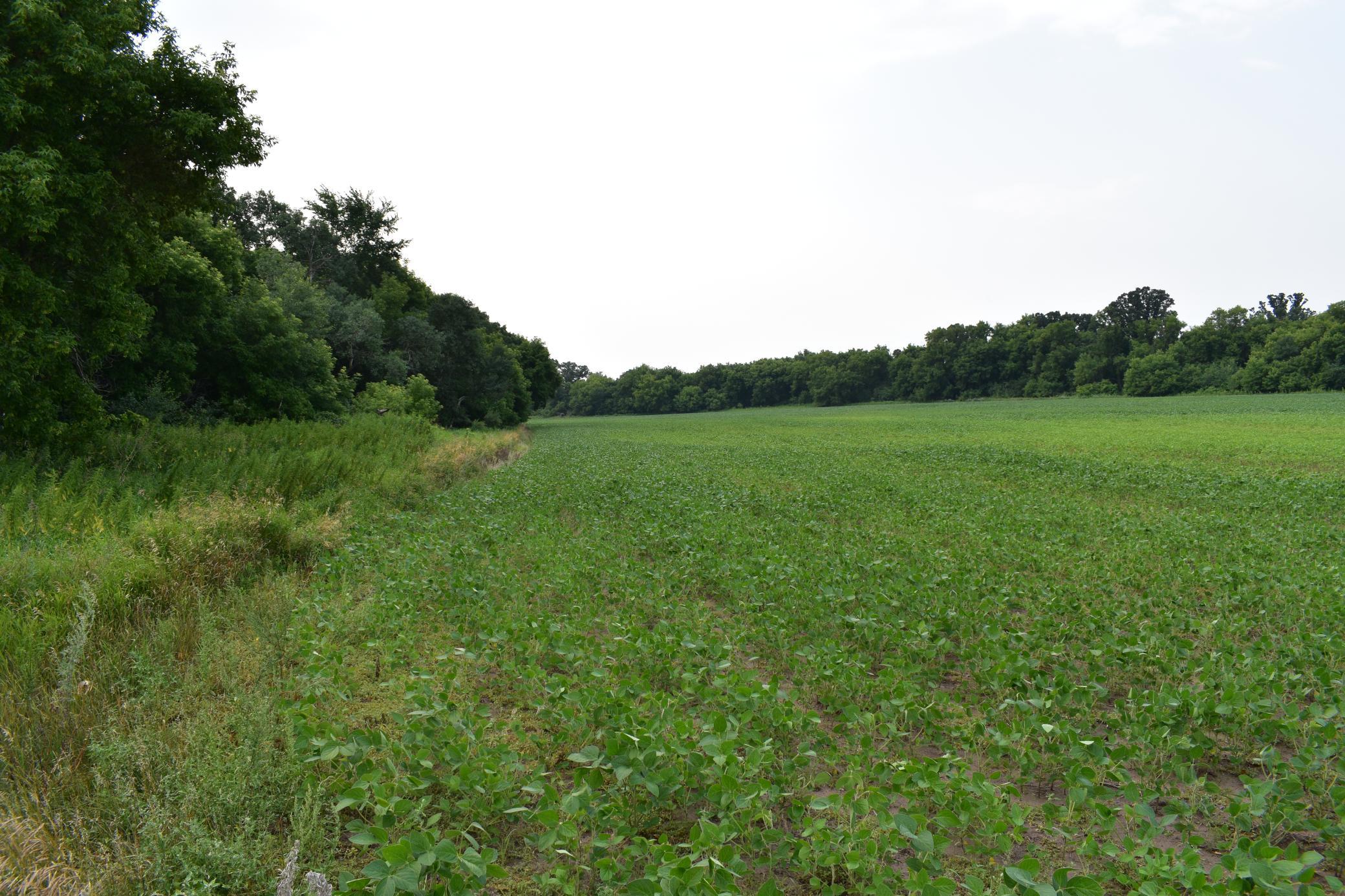 DSC_1590.JPG