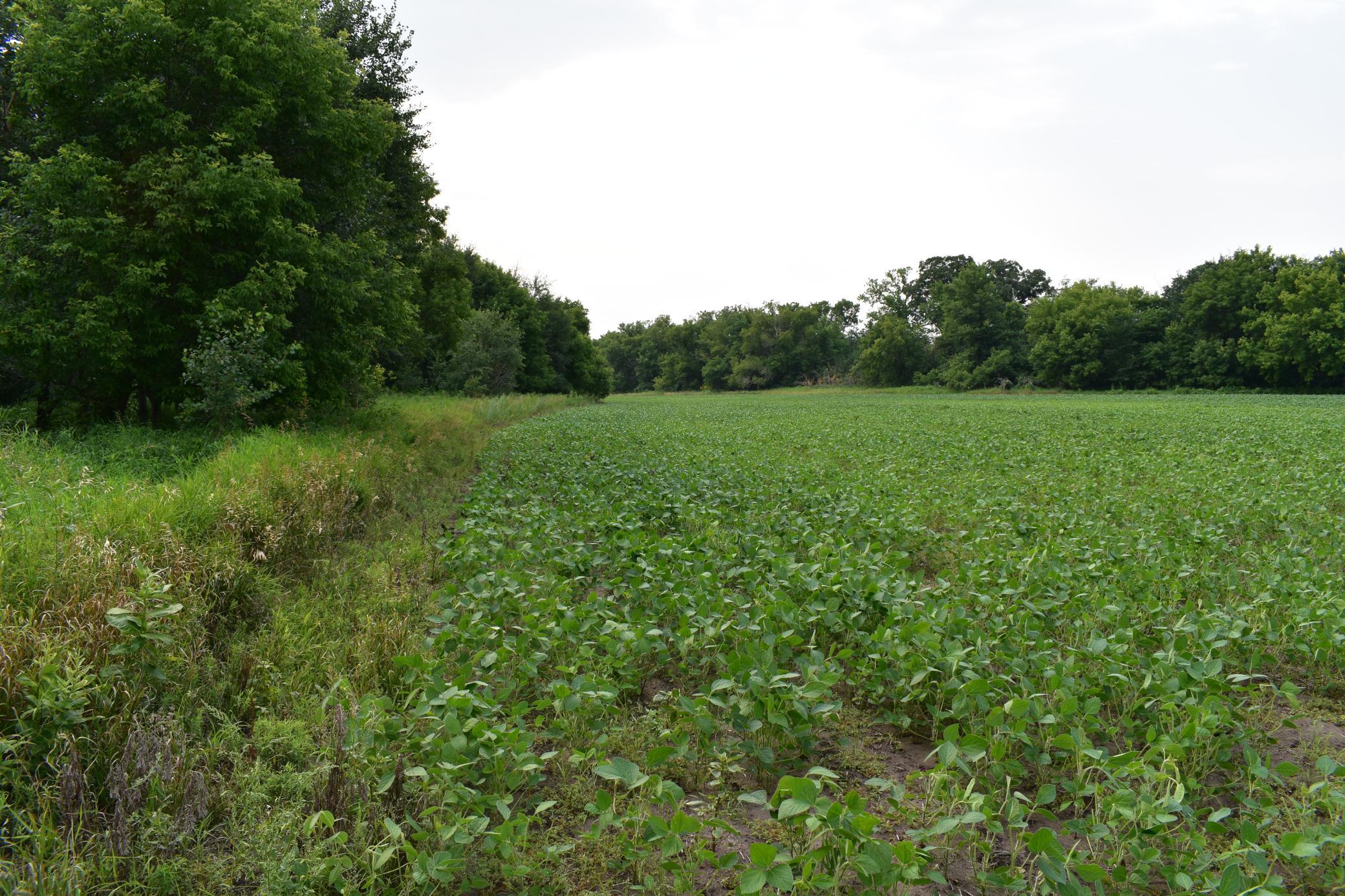DSC_1591.JPG