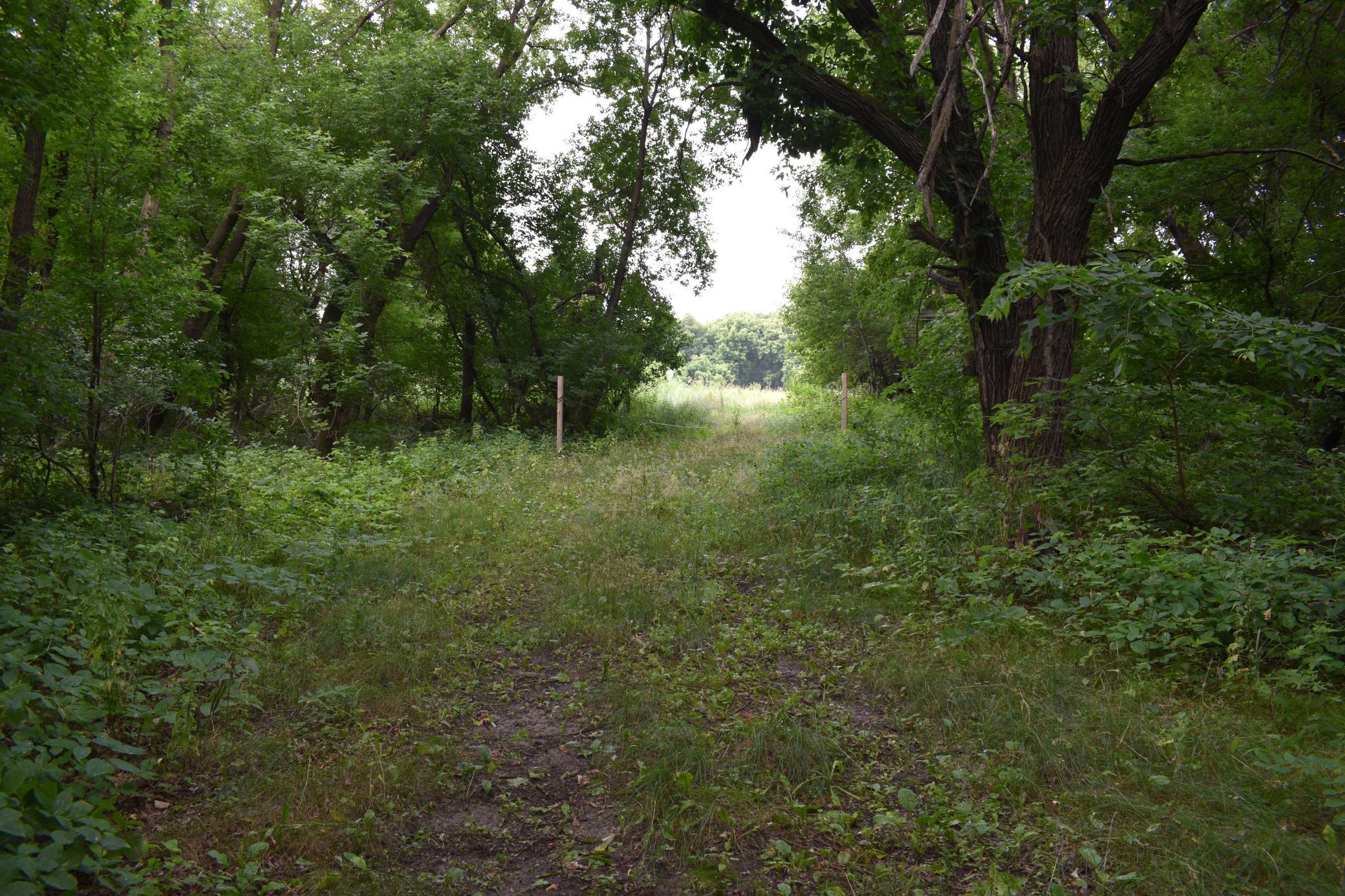DSC_1593.JPG
