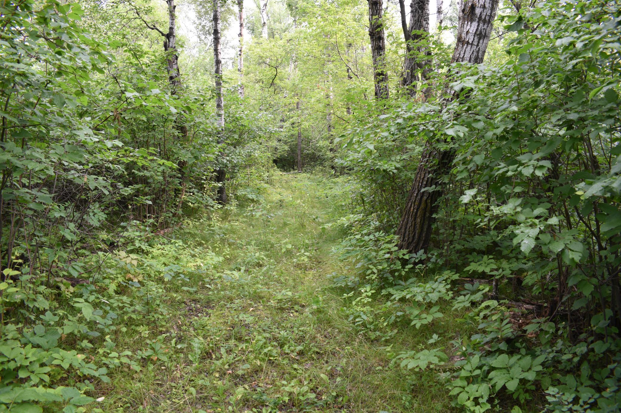 DSC_1599.JPG