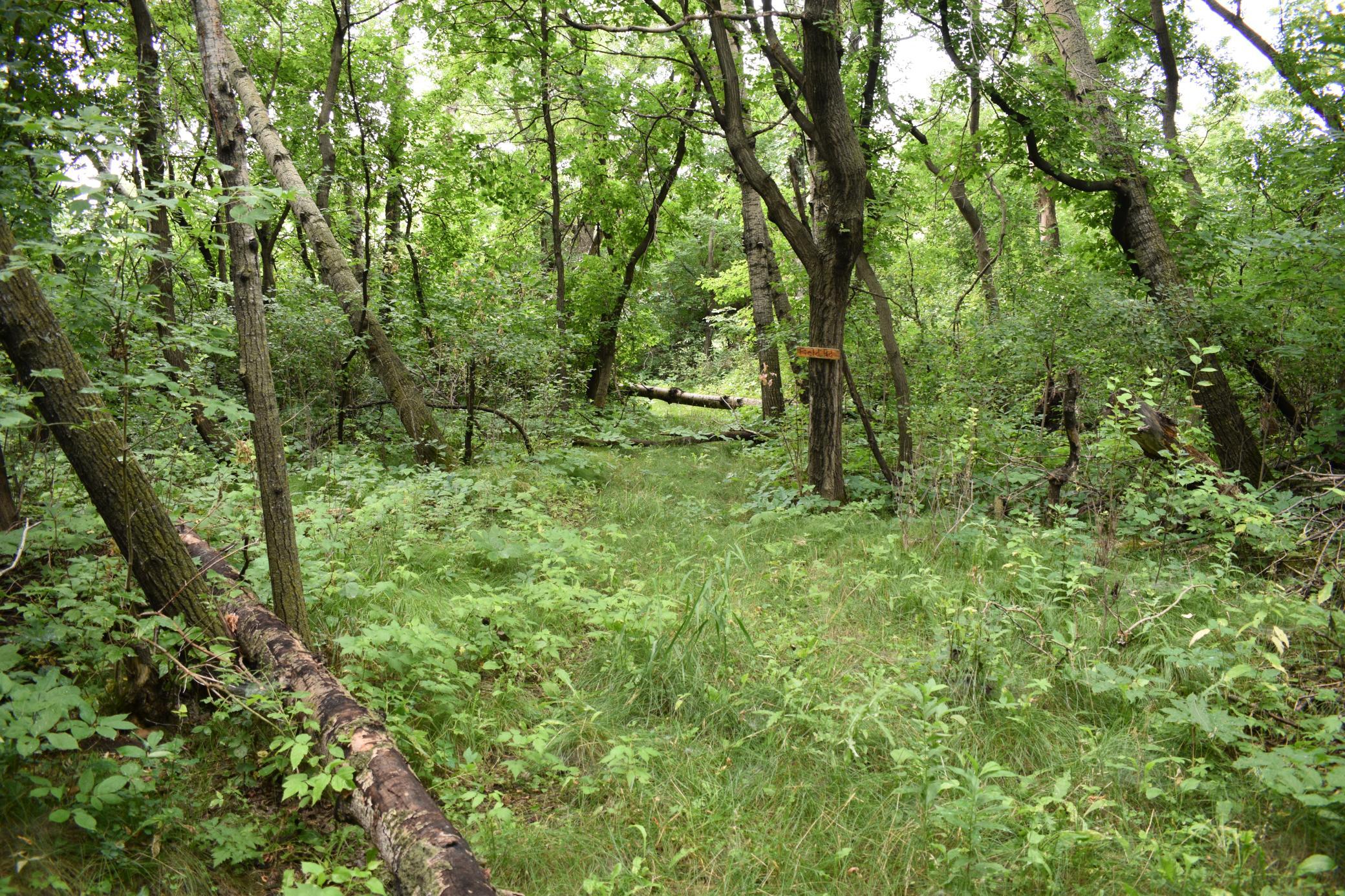 DSC_1600.JPG