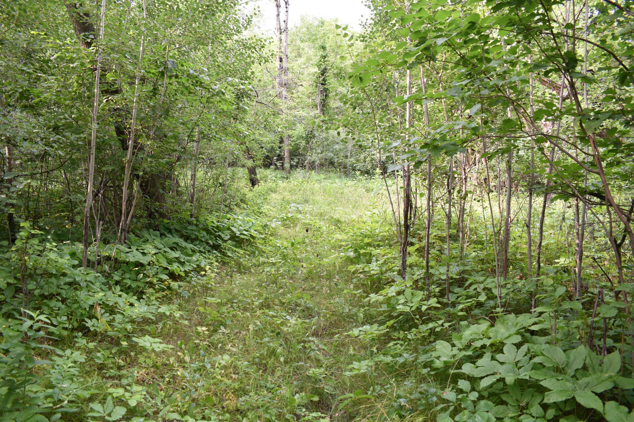 DSC_1598.JPG