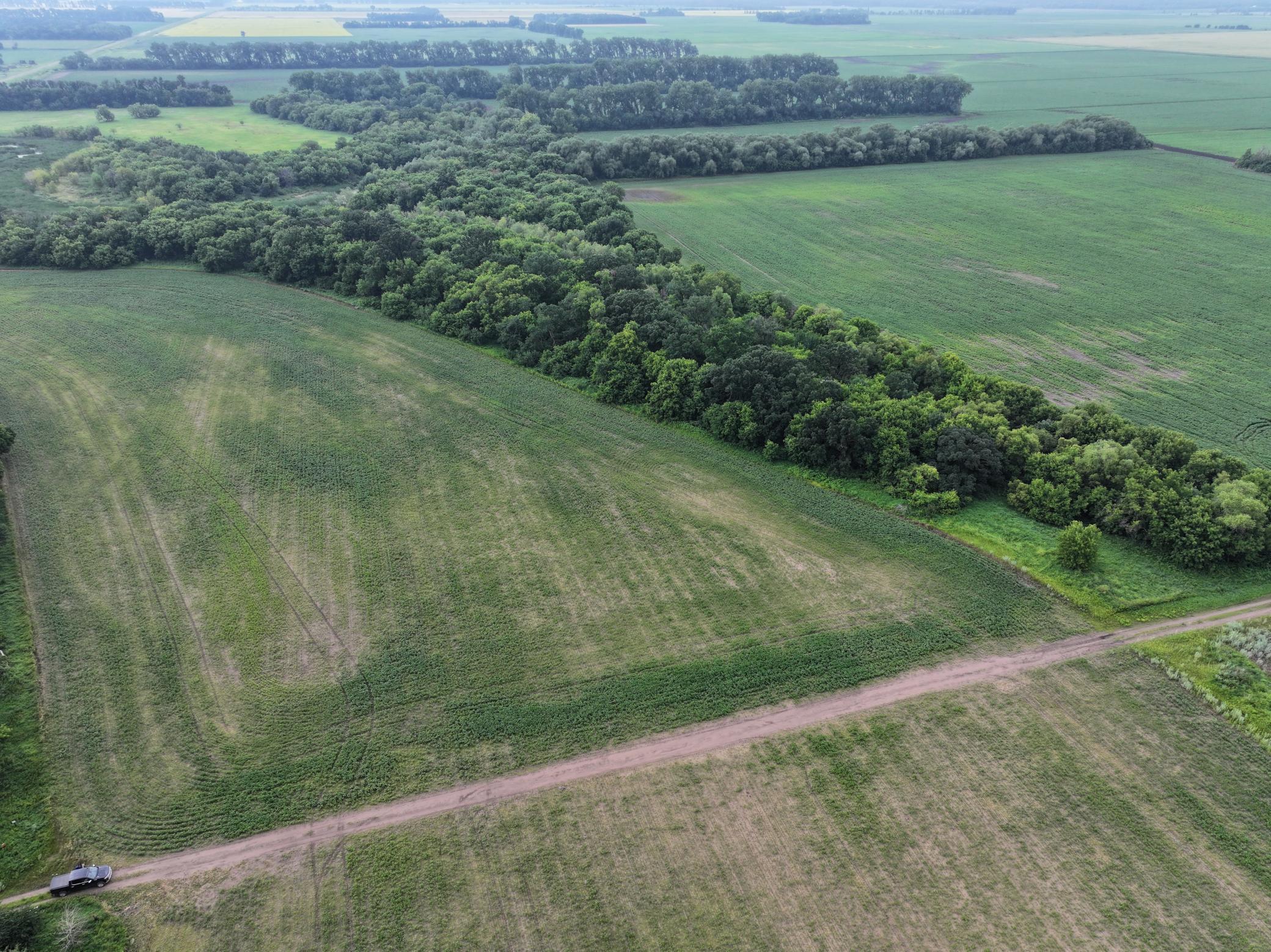 DJI_20260619150304_0309_D.JPG