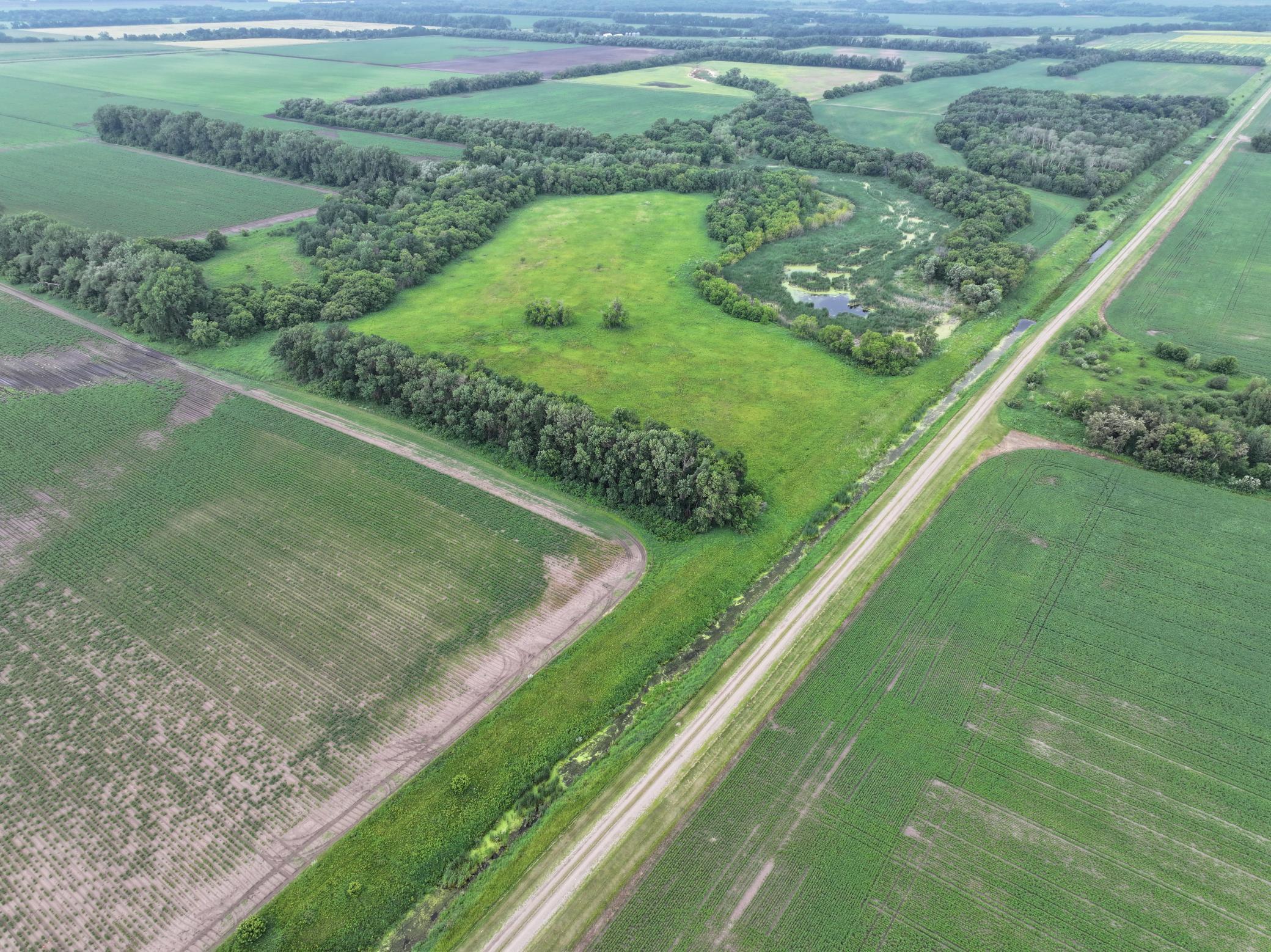 DJI_20260619150559_0319_D.JPG