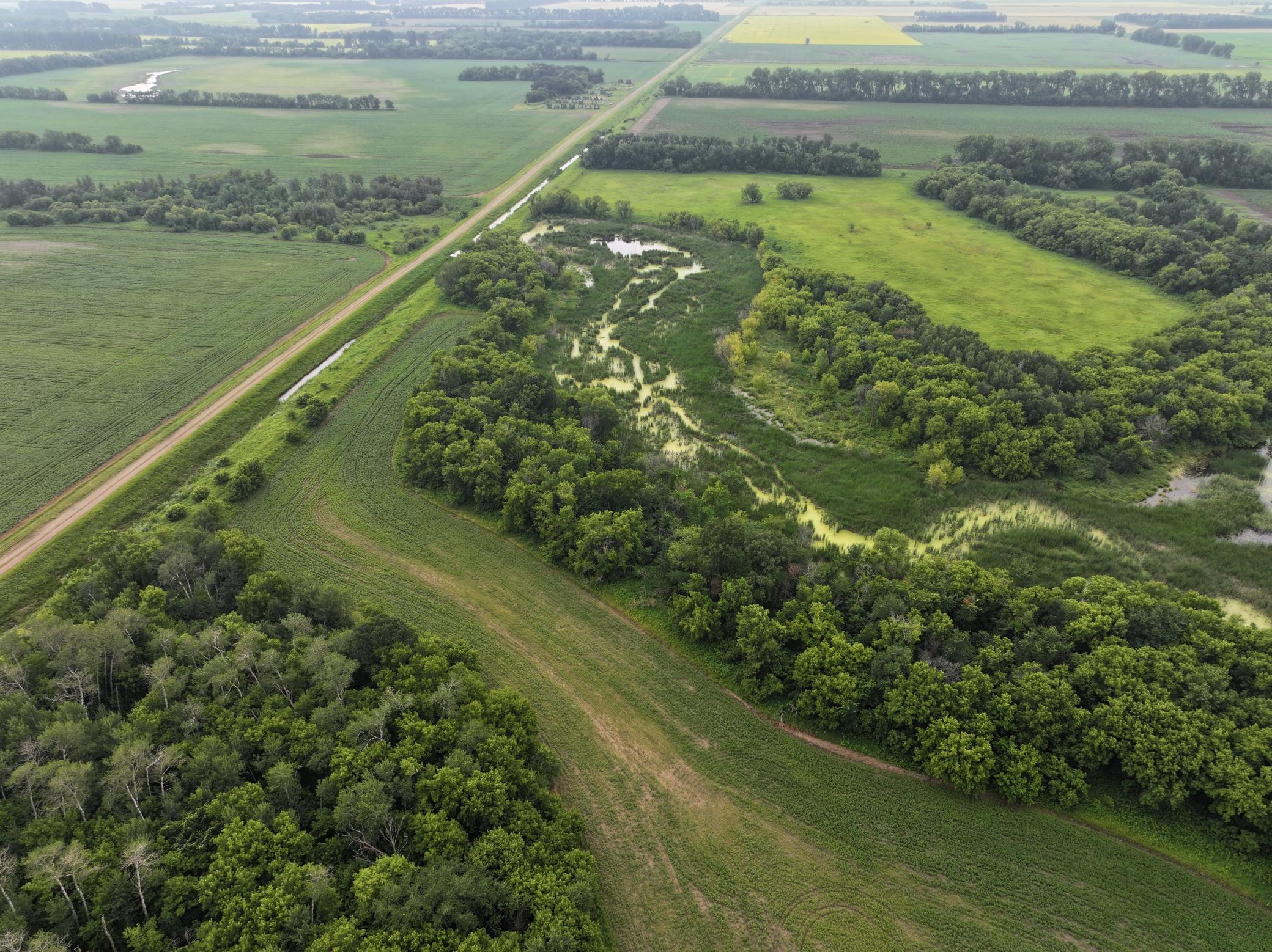 DJI_20260619150345_0311_D.JPG