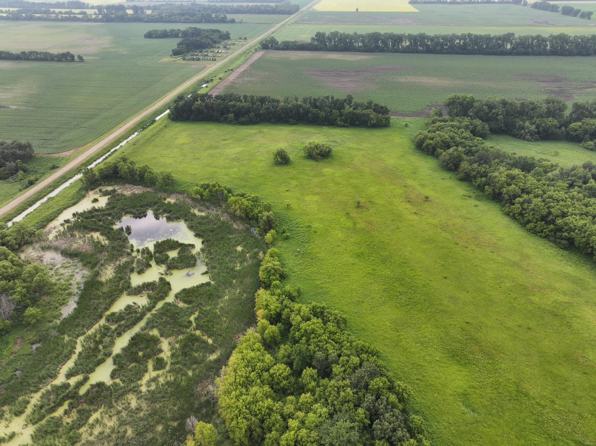 DJI_20260619150417_0314_D.JPG
