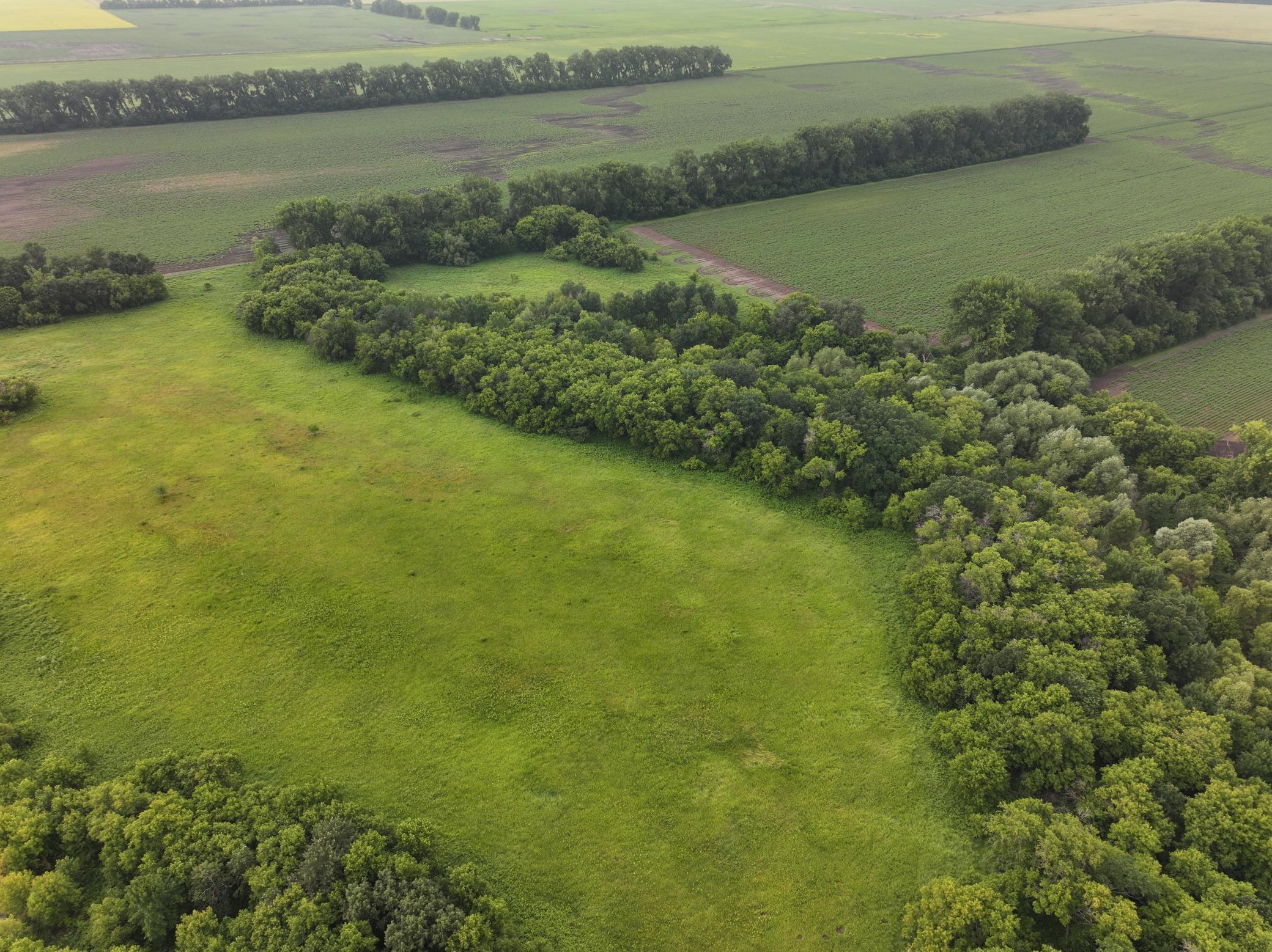 DJI_20260619150414_0313_D.JPG