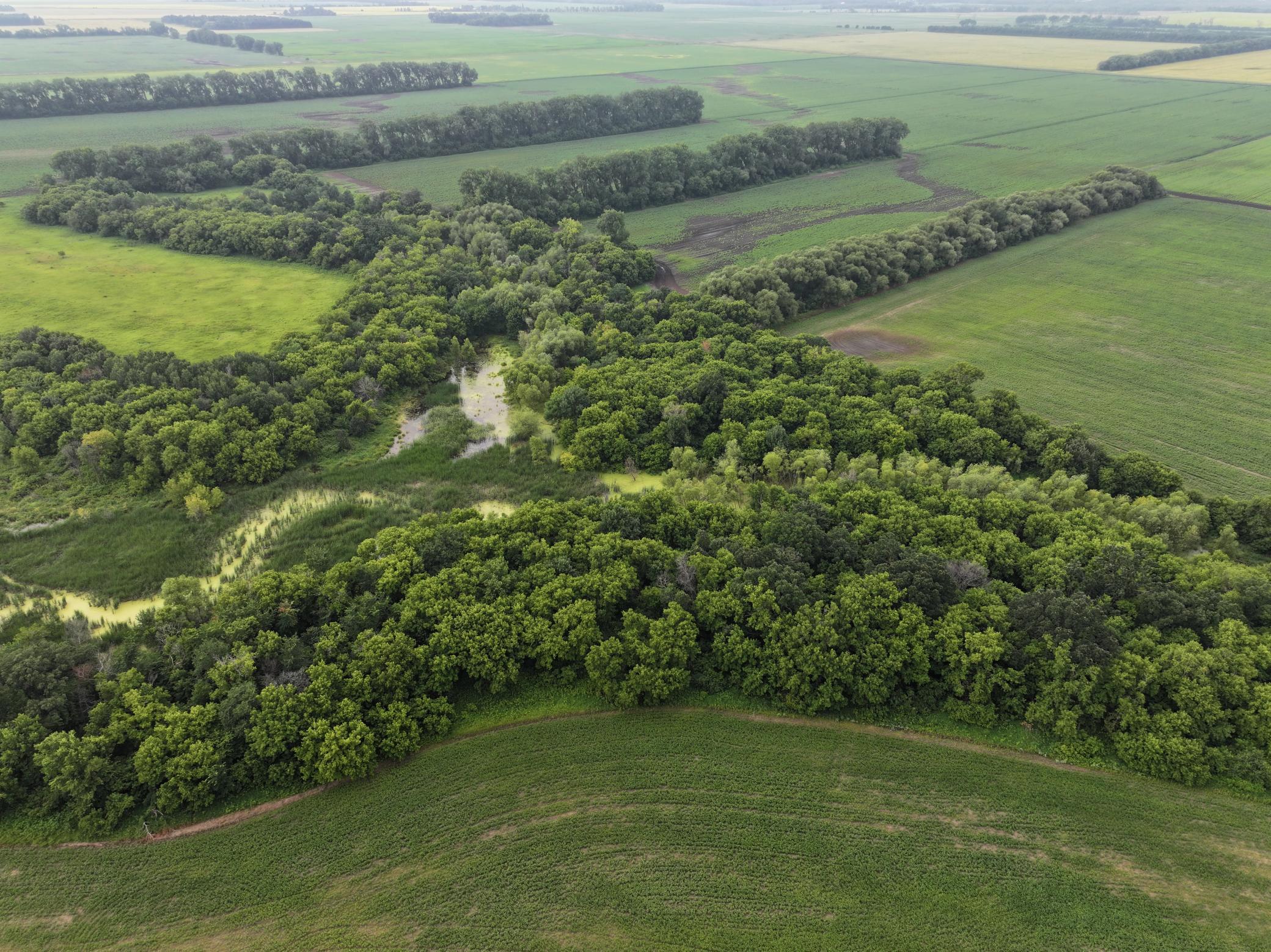 DJI_20260619150348_0312_D.JPG