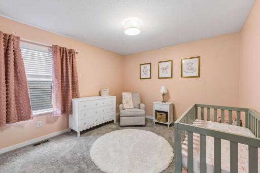 1874 Spring Creek Drive, Carver, MN 55315