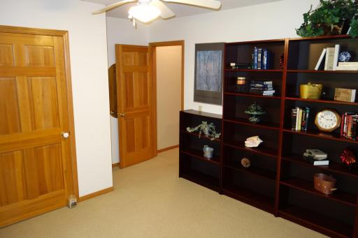 The fourth bedroom in the lower level has a large walk-in closet.