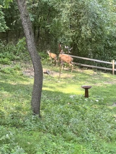13575 Harwell Path, Apple Valley, MN 55124