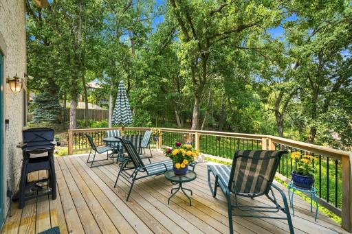 13575 Harwell Path, Apple Valley, MN 55124