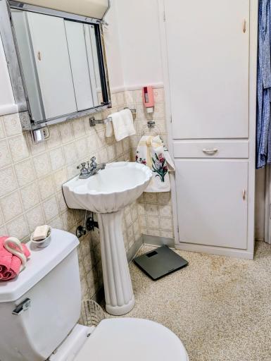 Storage next to the pedestal sink